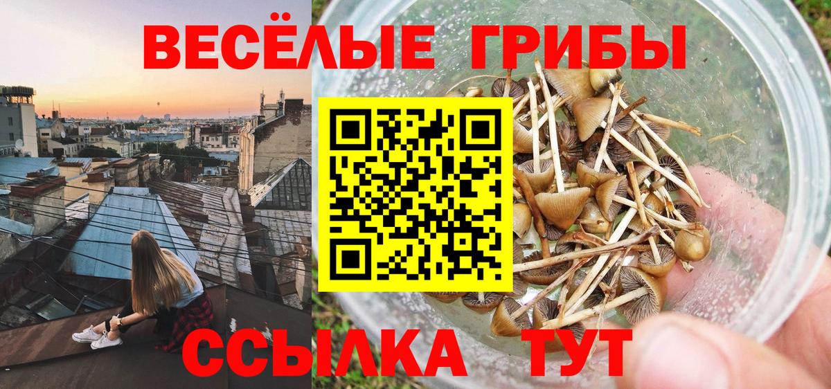 Псилоцибиновые грибы мицелий  Вход с VPN  цена наркотик  Псилоцибиновые грибы мицелий  Ишимбай 