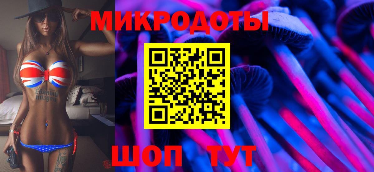 Галлюциногенные грибы Psilocybe Ишимбай